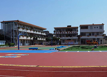 金利镇禄村小学
